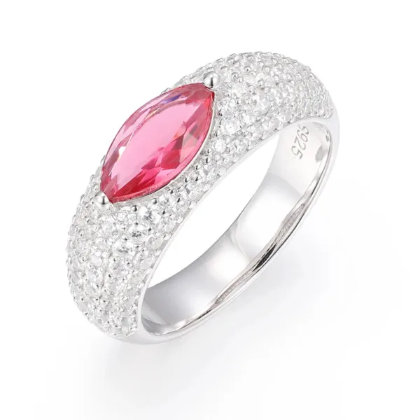 Unisex VVS1 Moissanite 925 Silver Hip Hop Jewelry Classic Men For Woman Rings Rock Hip Hop Jewelry Gift
